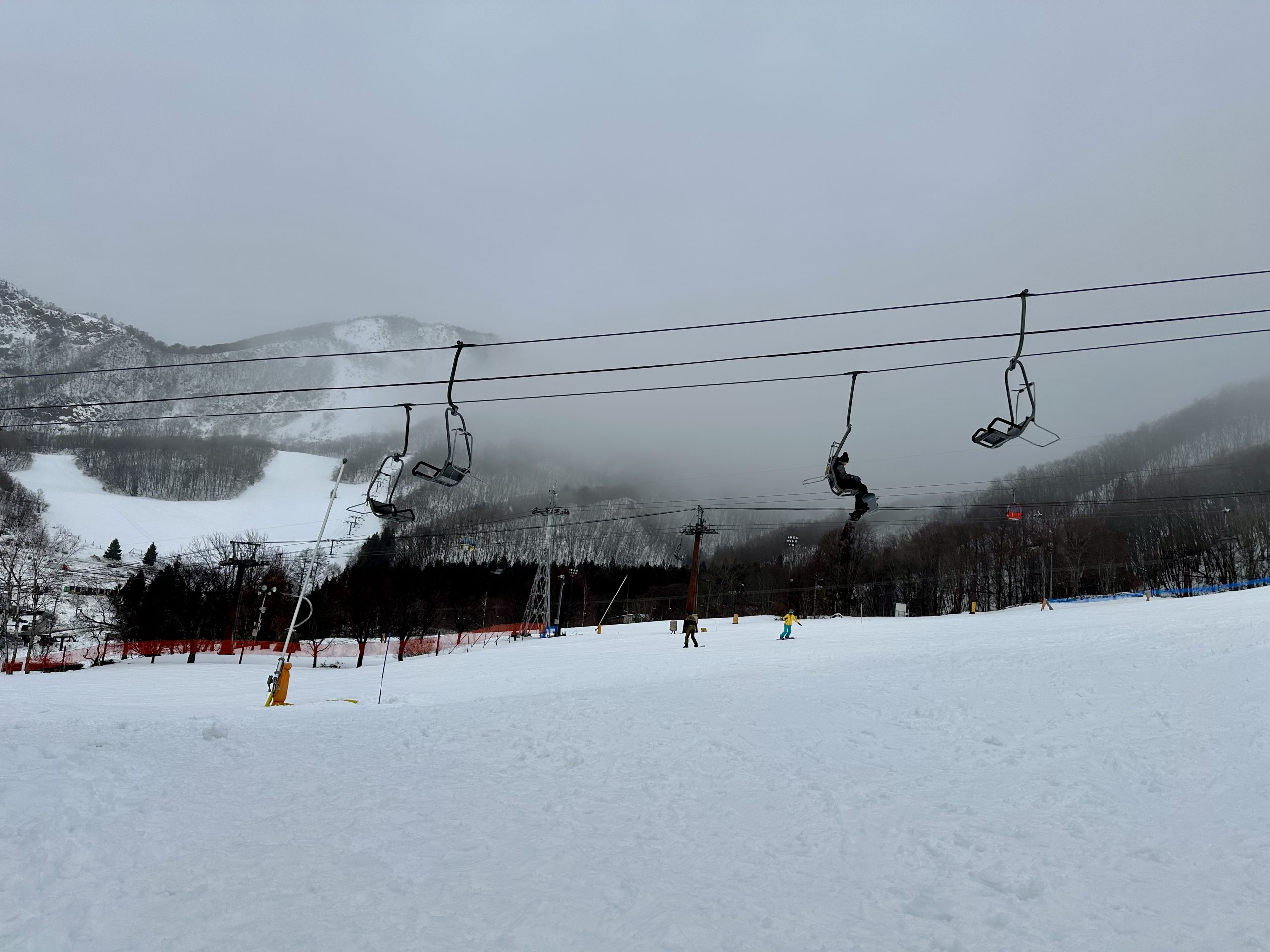 【蔵王温泉スキー場の雪情報】滑走可能！スノーレジャーを満喫しよう！