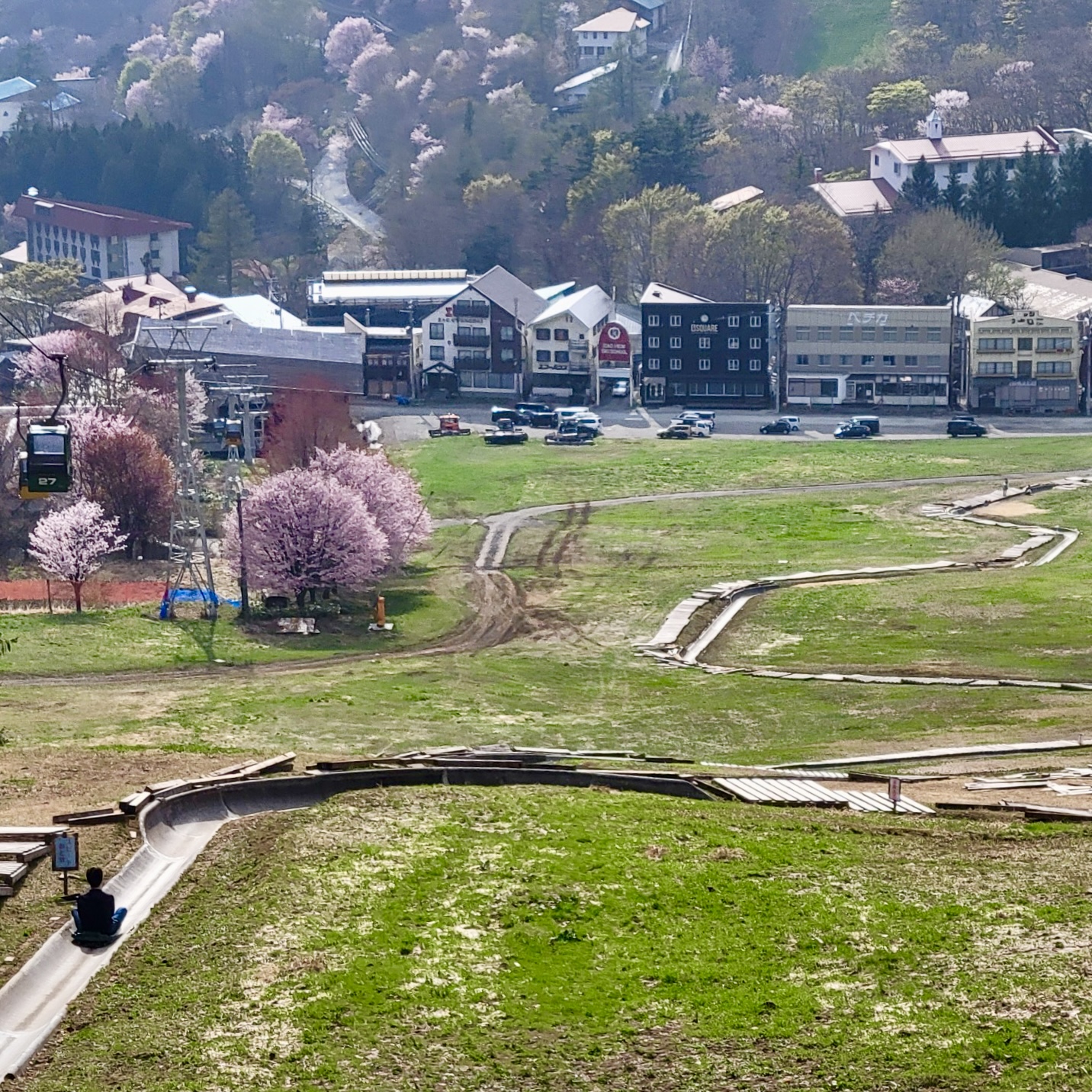 【お知らせ】GWに全長650ｍのスーパースライダーが営業中！蔵王高原は山桜が見ごろです