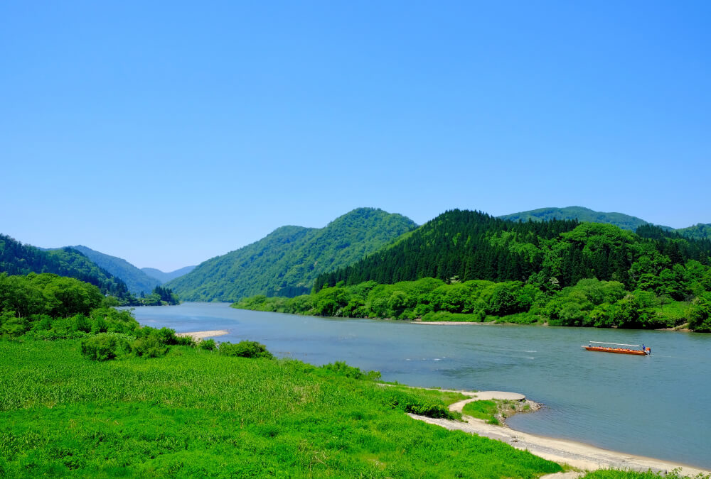 모가미강 배타기