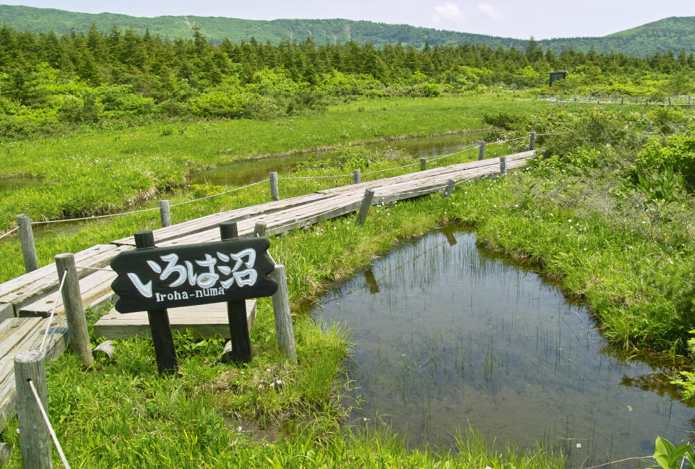 이로하누마·간쇼다이라